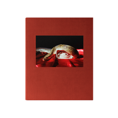 Perfume Genius Immediately Book